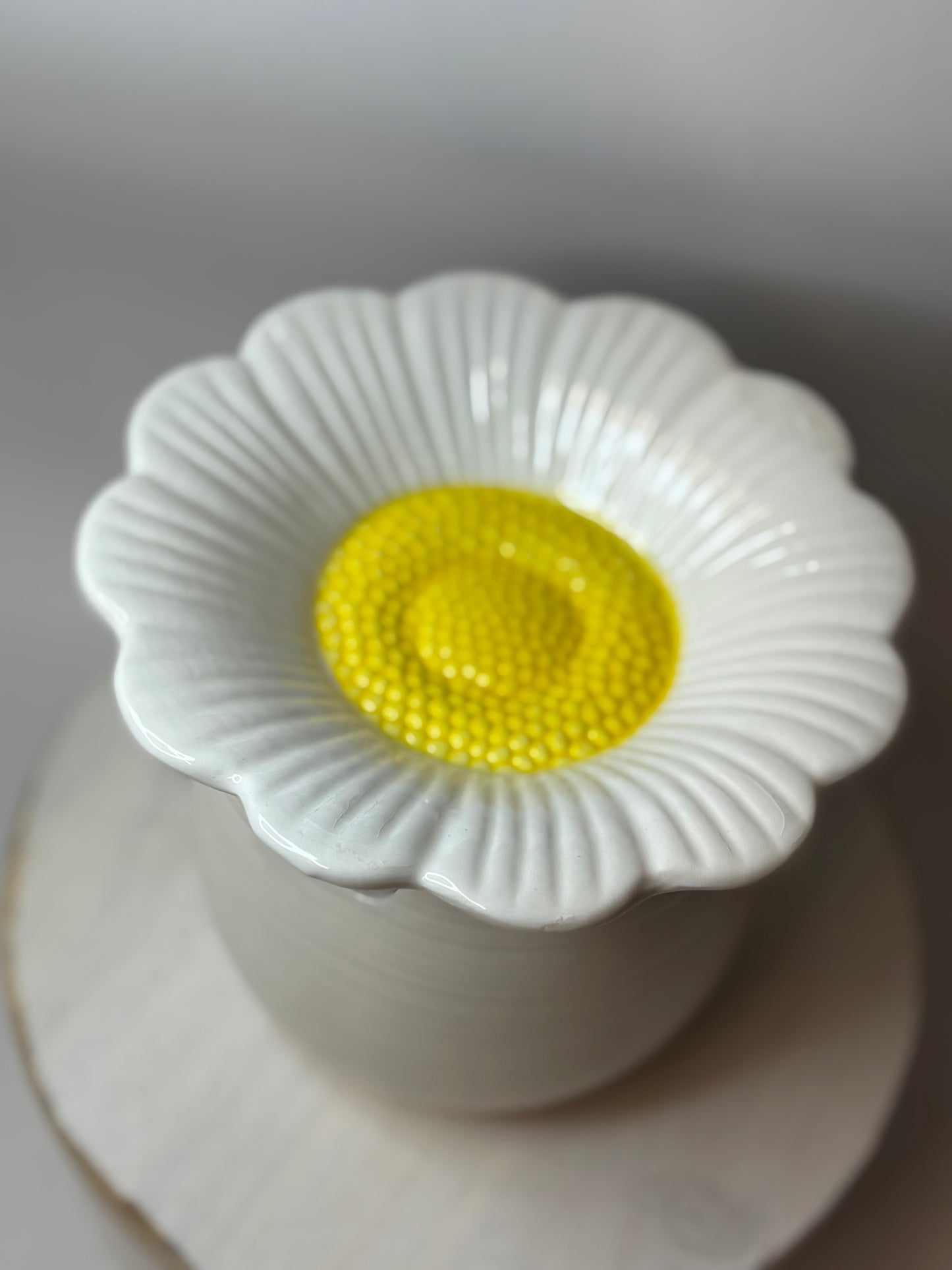 Aromalykta Daisy blomma vit
