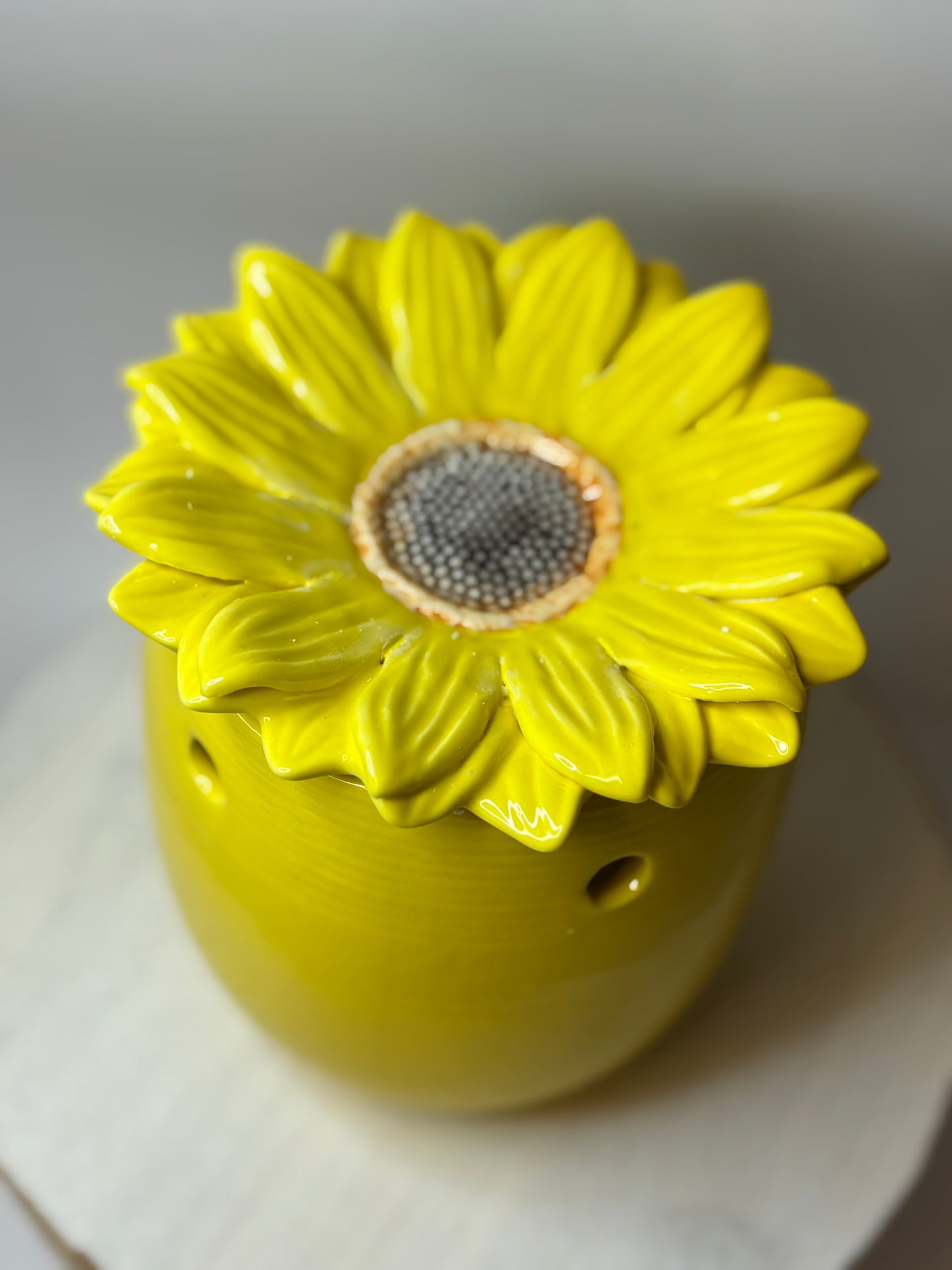 Aromalykta gul daisy blomma