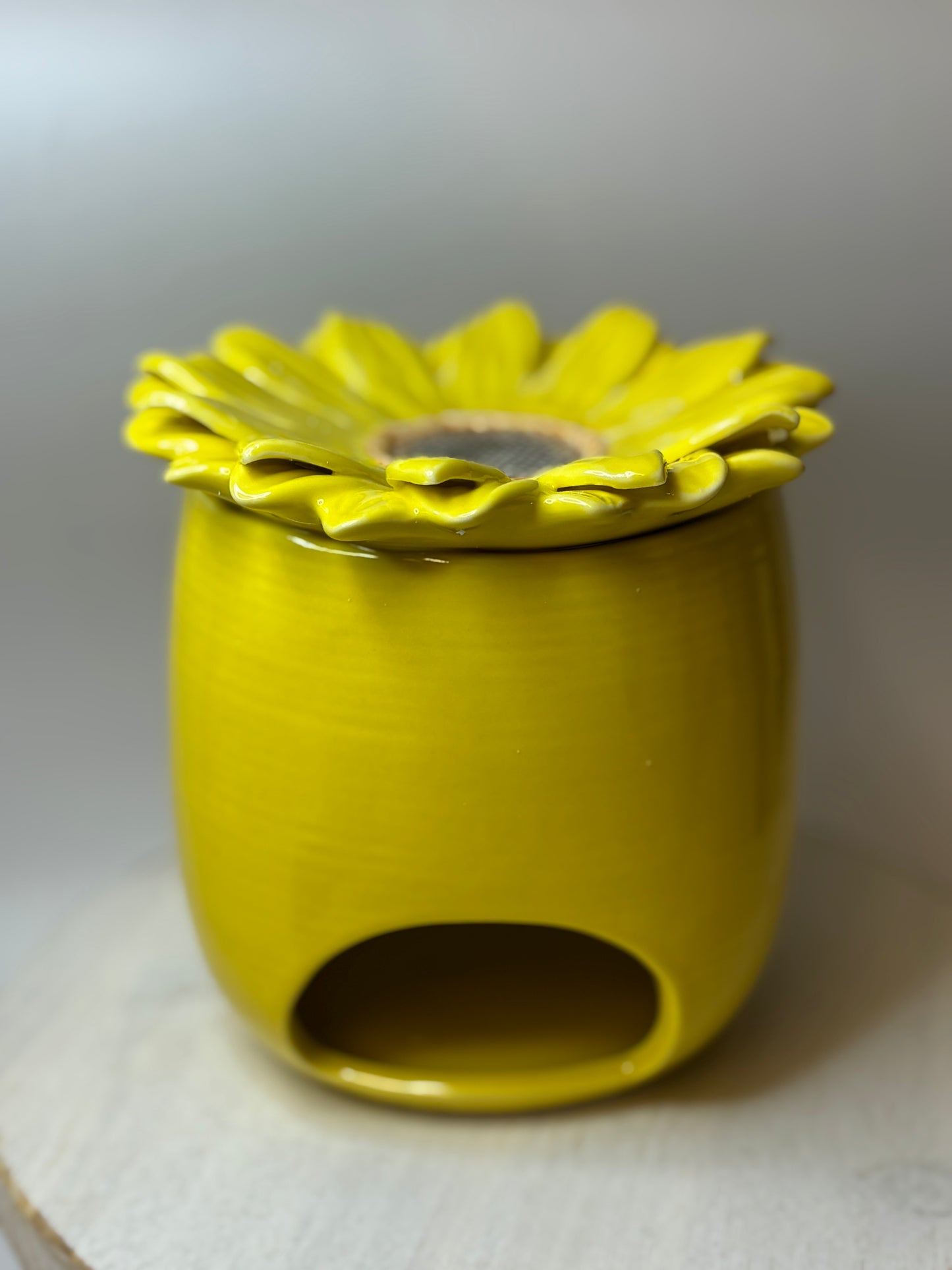 Aromalykta gul daisy blomma