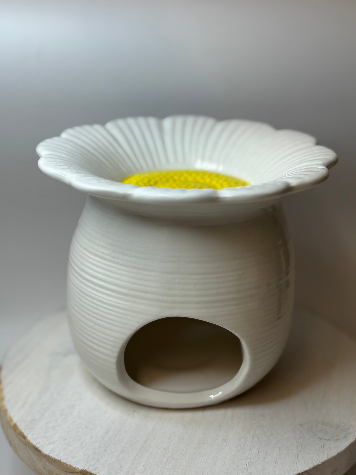 Aromalykta Daisy blomma vit