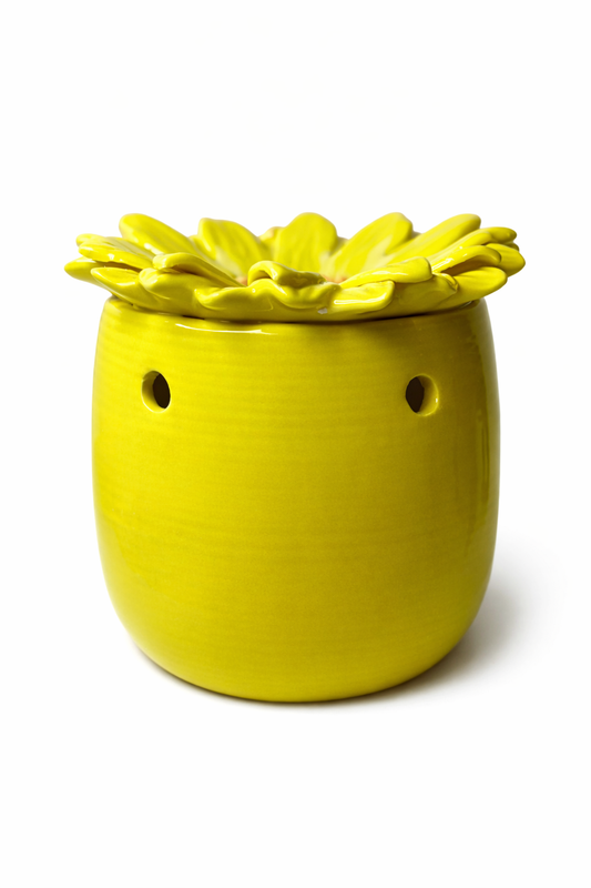 Aromalykta gul daisy blomma